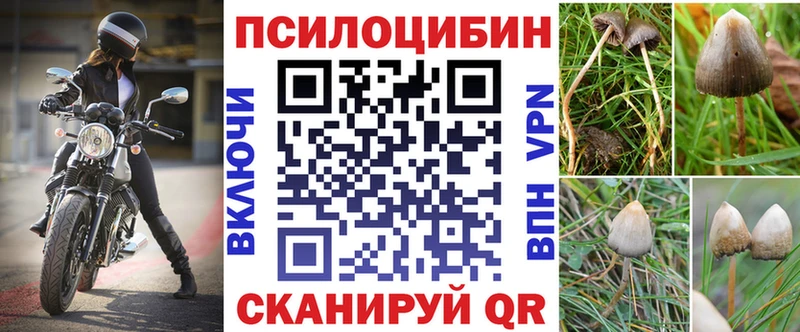 Галлюциногенные грибы MAGIC MUSHROOMS  сколько стоит  Тобольск 